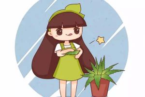 秋天適合養(yǎng)哪些花？這6種花好養(yǎng)又好看！