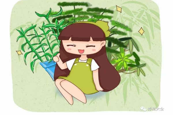 這10種竹最旺運，養(yǎng)1盆財運亨通、事事順意！