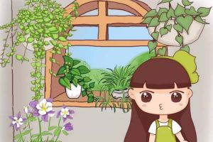 飄窗怎么改造成好看的小花園？