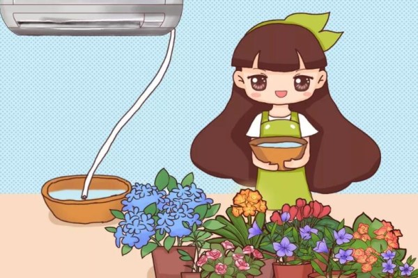 家家都有的廢水，竟是養(yǎng)花萬能水，養(yǎng)啥旺啥！