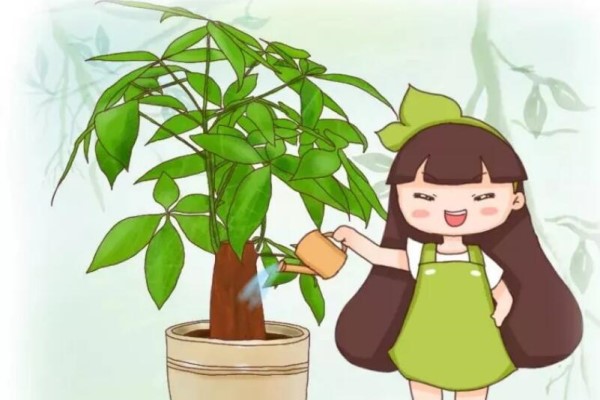 萬能澆水神器，就是1根小吸管，專治爛根黃葉！