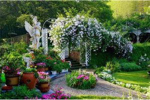 8畝荒地，66歲老人用8年時間養(yǎng)花種菜，終成絕美莊園！
