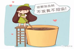 漚肥臭死人？跟60歲老花農(nóng)學(xué)幾招，放家里都沒味！