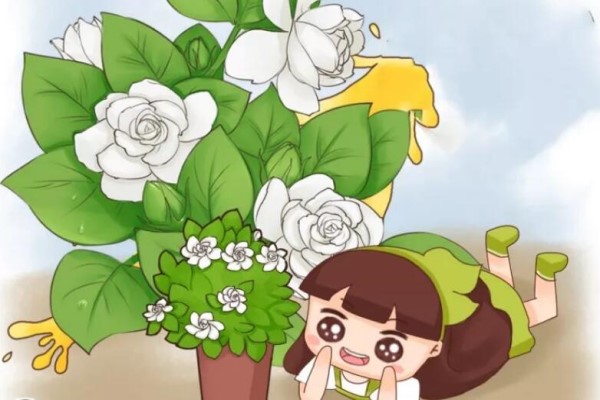 米蘭茉莉···加點(diǎn)料，開花200朵，香氣滿天飛！