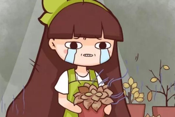 這11種花，夏天越澆水死得越快！
