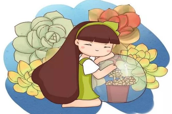 多肉就得這么養(yǎng)，水靈靈像果凍，小孩見了搶著吃！