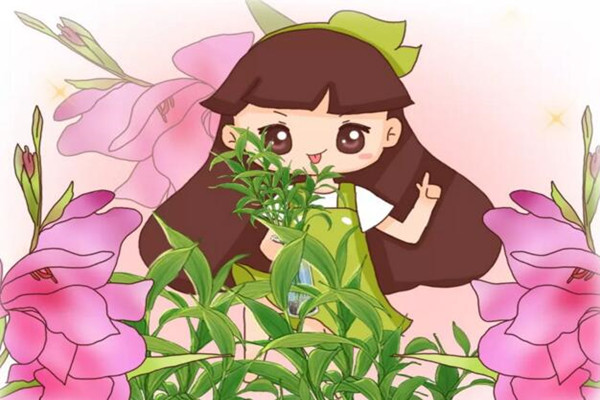 富貴竹最招運(yùn)的2種造型，5分鐘就搞定，簡單省錢！