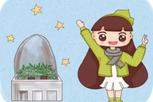 這個東西路邊隨處撿，扦插堆肥殺蟲…全解決，省下10年買花錢！