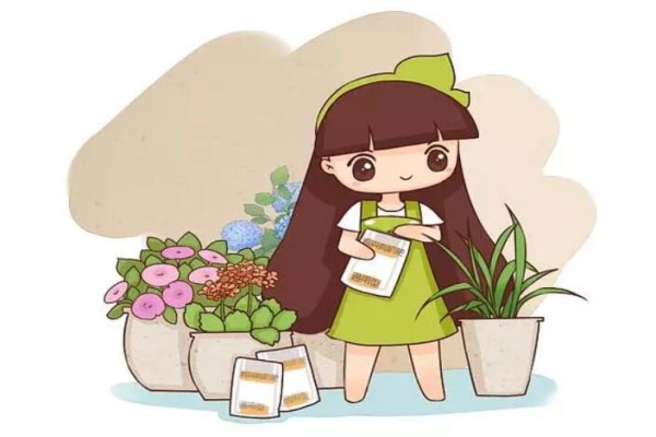 回趟老家撿到寶！農(nóng)村這些破缸瓦罐，不養(yǎng)花虧大了！