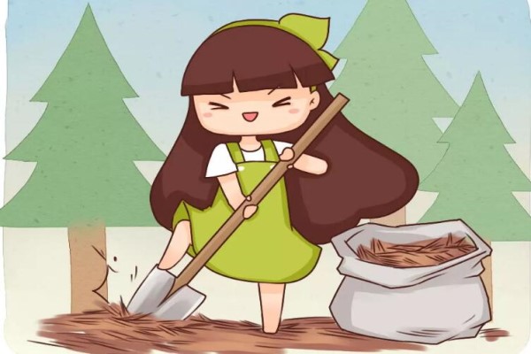 養(yǎng)花就選這種土，不爛根不黃葉，夏天也能蹭蹭爆盆！