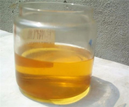 油 油