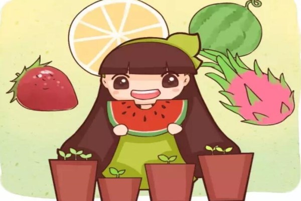 水果籽丟盆里，呼呼冒綠芽，1年結(jié)果100個！