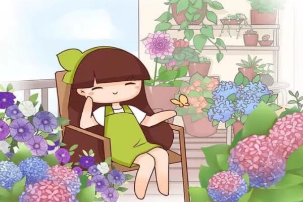 這8種天竺葵，夏天竟然瘋狂開花，40度高溫都不死！