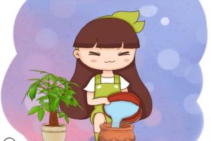 養(yǎng)花還用懶人盆？怪不得花養(yǎng)不活，全被漲死了！