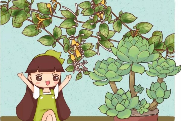 梔子月季…喝口酸甜水，砰砰冒花苞，比打雞血還管用！