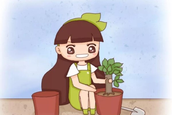 這個東西家家都有，扔盆里花蹭蹭長，一個夏天就爆盆！
