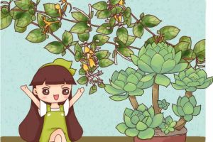 梔子月季…喝口酸甜水，砰砰冒花苞，比打雞血還管用！