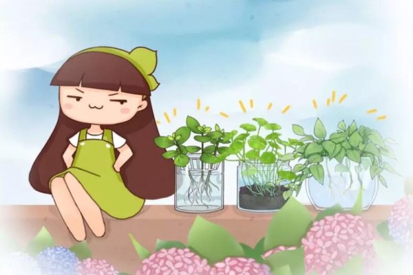 全小區(qū)都用它養(yǎng)花，1月不管，竟然滿陽(yáng)臺(tái)瘋長(zhǎng)！