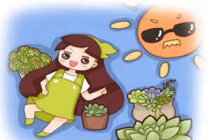 一夜之間，多肉變成小包子，全家人都驚呆了！