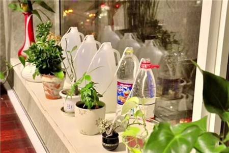 棉線、鞋帶澆水器