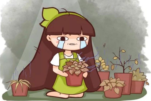 快住手！葉子一旦變這樣，再澆水立馬死翹翹！