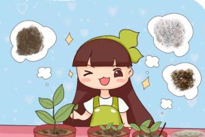 剪這個(gè)枝扦插，怪不得插啥都不活，插100盆都白搭！