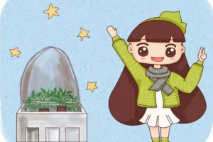 給花戴頂大帽子，花朵咕嘟咕嘟冒，1個(gè)月?lián)伪?yáng)臺(tái)！