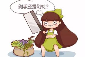 這才是養(yǎng)花人該用的表情包，原先的趕緊刪了吧
