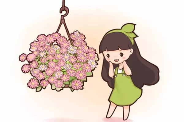 這些花一旦吊起來養(yǎng)，就美炸了