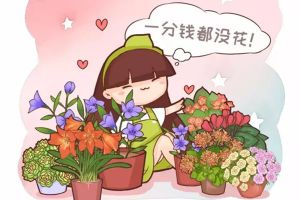 這樣養(yǎng)花，1分錢都不花，服了