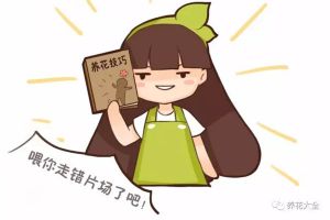 這幾種小藥片，拿來養(yǎng)花真神奇