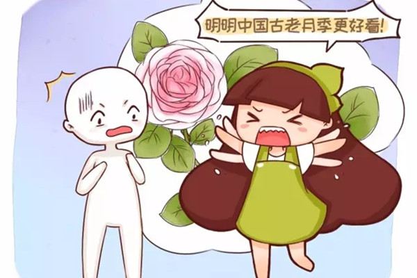 別再迷戀歐月，咱中國(guó)的古老月季，快絕種了