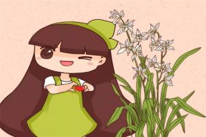 蘭花3年不開花？養(yǎng)蘭大神教你這1招，1個(gè)月養(yǎng)出極品天價(jià)蘭！