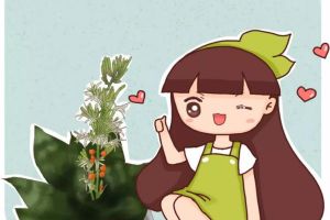 你家的蘆薈發(fā)財樹…從來不開花？只學(xué)1招，連開5年不是事！