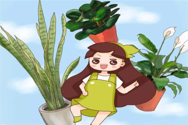 養(yǎng)花兒就像養(yǎng)孩子，一不留神就撒歡兒，管都管不??！