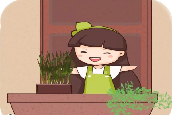 韭菜不用買，陽臺種1盆，隨吃隨割，綠色又健康！