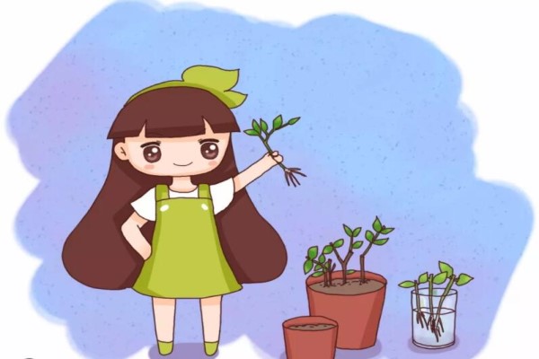 學(xué)會這9個扦插絕招，插啥活啥，蹭蹭長出大白根！