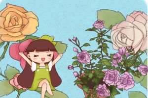 月季盆里撒點它，月月花開爆，根本停不下來！