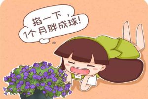 天竺葵矮牽牛…掐1下，1個(gè)月胖成球！