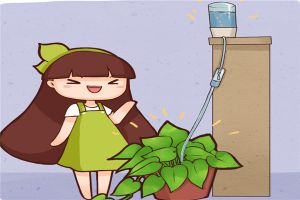 玻璃瓶上綁根繩，吸水花盆自己做，1個(gè)月不澆花也死不了！