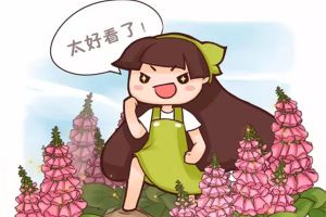 花開成串，這些花可比開爆盆好看多了