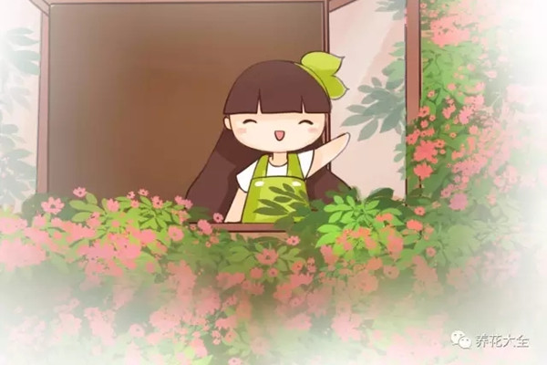 把家里弄成這樣，才算是真正的養(yǎng)花人