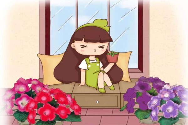 扦插老不生根？試試這6招，1盆變10盆， 家里多的放不下！
