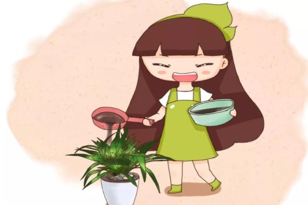 給花喝點醋，5天黃葉變綠葉，效果堪比“神仙水”！