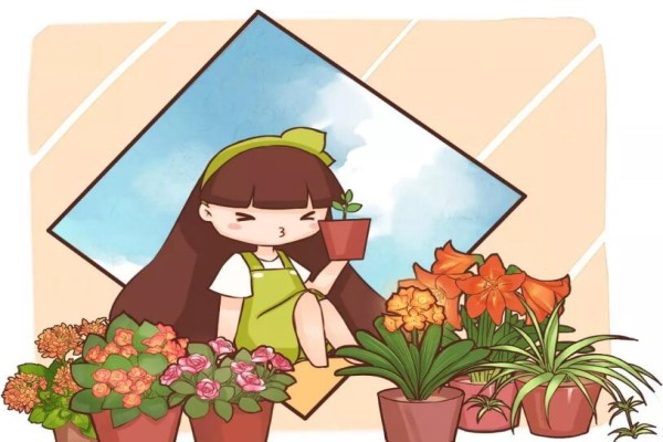 老花農(nóng)春天這么施肥，花呼呼開(kāi)滿盆，葉子油亮發(fā)光！