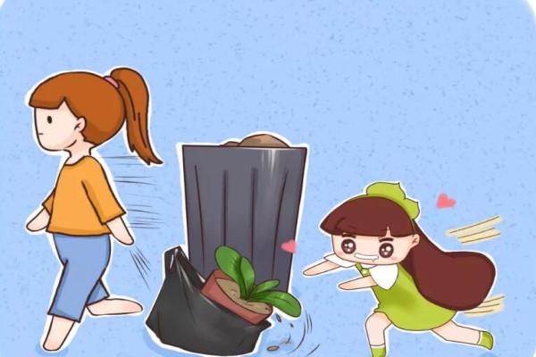 她嫌丑扔掉的花，鄰居撿去養(yǎng)成寶，后悔死了！