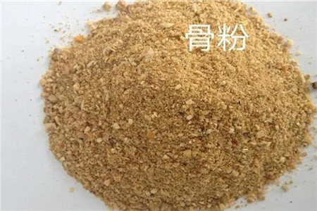 骨粉