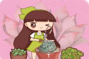 多肉開花后，趕緊咔嚓1刀，否則立馬全死光！