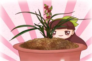 盆里放把松樹(shù)皮，養(yǎng)花10年不爛根，新芽蹭蹭竄！