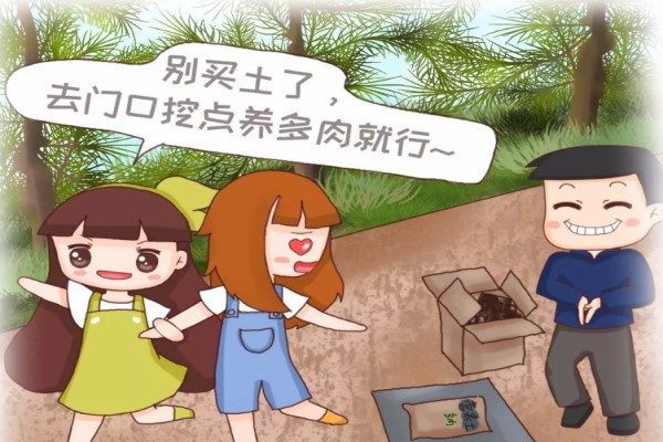 養(yǎng)多肉還買土？門口挖點(diǎn)摻上它，1分錢不花爆10盆！